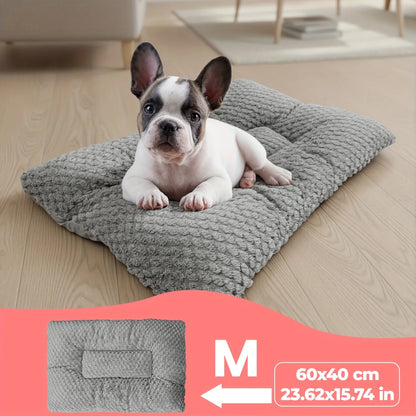 Plush Pet Retreat